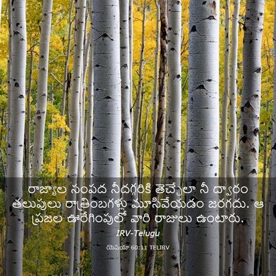 Picture 03 - యెషయా 60:11 TELIRV - రాజ్యాల సంపద - Bible Verse Picture