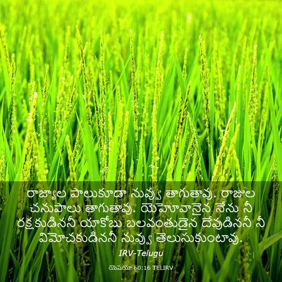 Picture 03 - యెషయా 60:16 TELIRV - రాజ్యాల పాలుకూడా - Bible Verse Picture