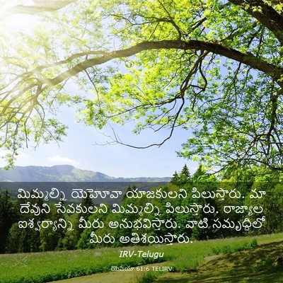 Picture 03 - యెషయా 61:6 TELIRV - మిమ్మల్ని యెహోవా - Bible Verse Picture