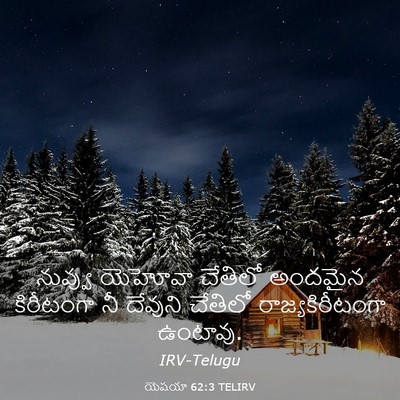 Picture 03 - యెషయా 62:3 TELIRV - నువ్వు యెహోవా - Bible Verse Picture