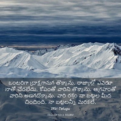 Picture 03 - యెషయా 63:3 TELIRV - ఒంటరిగా - Bible Verse Picture