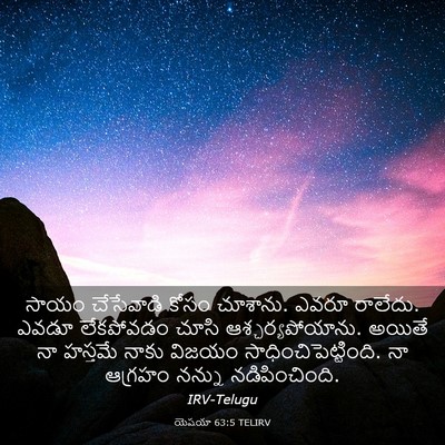Picture 03 - యెషయా 63:5 TELIRV - సాయం చేసేవాడి - Bible Verse Picture