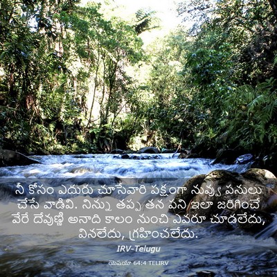 Picture 03 - యెషయా 64:4 TELIRV - నీ కోసం ఎదురు - Bible Verse Picture