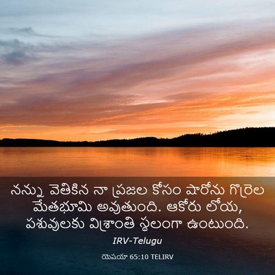 Picture 03 - యెషయా 65:10 TELIRV - నన్ను వెతికిన నా - Bible Verse Picture