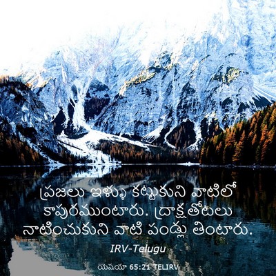 Picture 03 - యెషయా 65:21 TELIRV - ప్రజలు ఇళ్ళు - Bible Verse Picture
