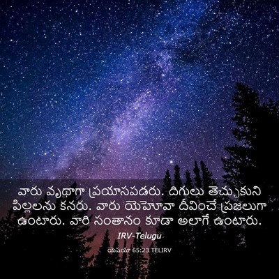 Picture 03 - యెషయా 65:23 TELIRV - వారు వృథాగా - Bible Verse Picture