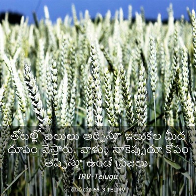 Picture 03 - యెషయా 65:3 TELIRV - తోటల్లో బలులు - Bible Verse Picture