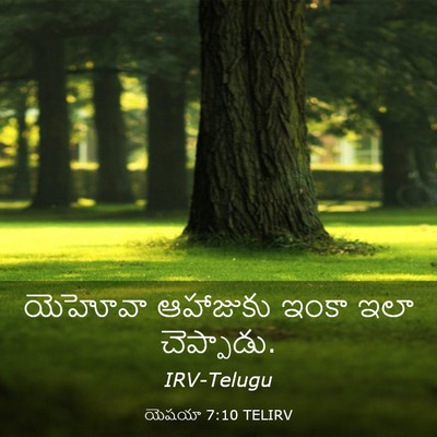 Picture 03 - యెషయా 7:10 TELIRV - యెహోవా ఆహాజుకు - Bible Verse Picture