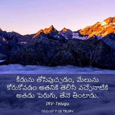 Picture 03 - యెషయా 7:15 TELIRV - కీడును - Bible Verse Picture