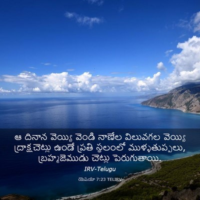 Picture 03 - యెషయా 7:23 TELIRV - ఆ దినాన వెయ్యి - Bible Verse Picture