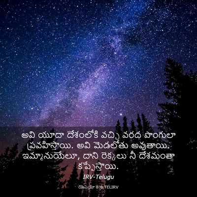 Picture 03 - యెషయా 8:8 TELIRV - అవి యూదా దేశంలోకి - Bible Verse Picture