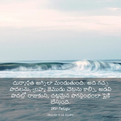 Picture 03 - యెషయా 9:18 TELIRV - దుర్మార్గత - Bible Verse Picture