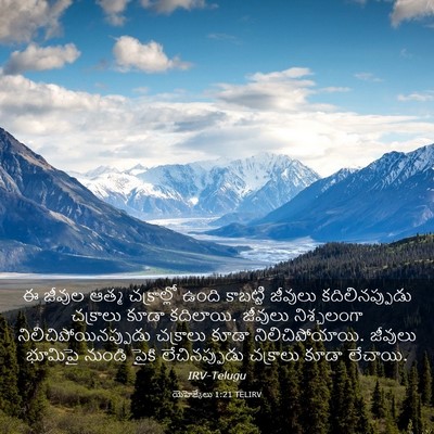 Picture 03 - యెహెజ్కేలు 1:21 TELIRV - ఈ జీవుల ఆత్మ - Bible Verse Picture