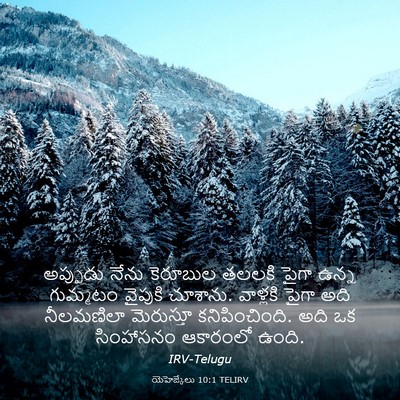 Picture 03 - యెహెజ్కేలు 10:1 TELIRV - అప్పుడు నేను - Bible Verse Picture