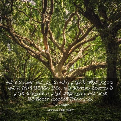 Picture 03 - యెహెజ్కేలు 10:11 TELIRV - అవి కదులుతూ - Bible Verse Picture