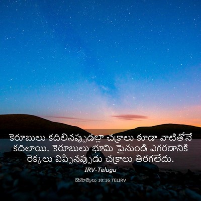 Picture 03 - యెహెజ్కేలు 10:16 TELIRV - కెరూబులు - Bible Verse Picture