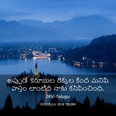 Picture 03 - యెహెజ్కేలు 10:8 TELIRV - అప్పుడే కెరూబుల - Bible Verse Picture