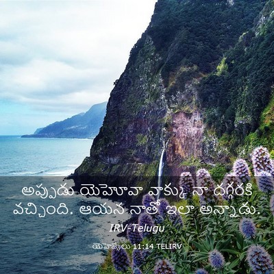 Picture 03 - యెహెజ్కేలు 11:14 TELIRV - అప్పుడు యెహోవా - Bible Verse Picture