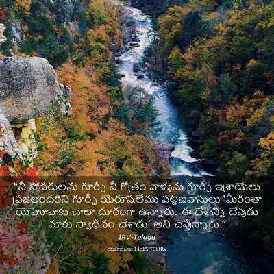 Picture 03 - యెహెజ్కేలు 11:15 TELIRV - “నీ సోదరులను - Bible Verse Picture