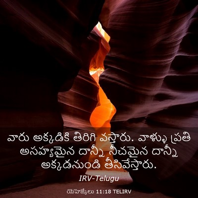 Picture 03 - యెహెజ్కేలు 11:18 TELIRV - వారు అక్కడికి - Bible Verse Picture