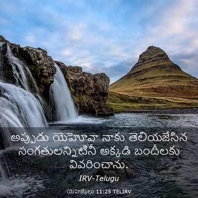 Picture 03 - యెహెజ్కేలు 11:25 TELIRV - అప్పుడు యెహోవా - Bible Verse Picture