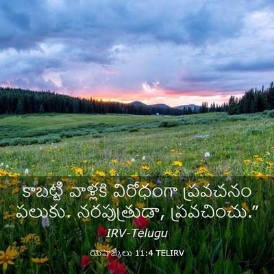 Picture 03 - యెహెజ్కేలు 11:4 TELIRV - కాబట్టి వాళ్లకి - Bible Verse Picture
