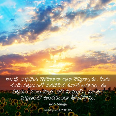 Picture 03 - యెహెజ్కేలు 11:7 TELIRV - కాబట్టి ప్రభువైన - Bible Verse Picture