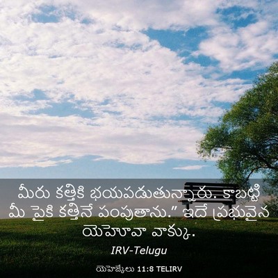 Picture 03 - యెహెజ్కేలు 11:8 TELIRV - మీరు కత్తికి - Bible Verse Picture