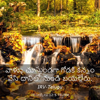 Picture 03 - యెహెజ్కేలు 12:5 TELIRV - వాళ్ళు చూస్తుండగా - Bible Verse Picture