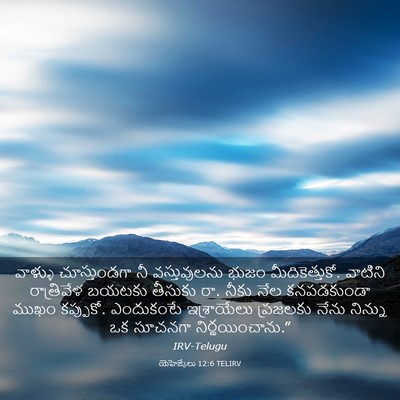 Picture 03 - యెహెజ్కేలు 12:6 TELIRV - వాళ్ళు చూస్తుండగా - Bible Verse Picture