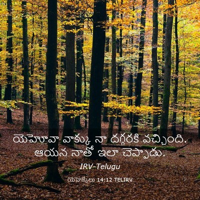 Picture 03 - యెహెజ్కేలు 14:12 TELIRV - యెహోవా వాక్కు నా - Bible Verse Picture