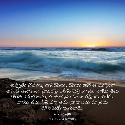 Picture 03 - యెహెజ్కేలు 14:20 TELIRV - అప్పుడు నోవహు, - Bible Verse Picture