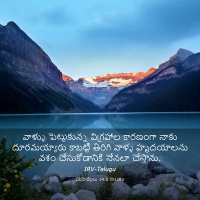 Picture 03 - యెహెజ్కేలు 14:5 TELIRV - వాళ్ళు - Bible Verse Picture