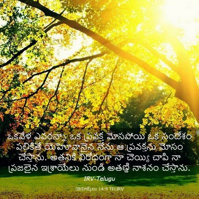 Picture 03 - యెహెజ్కేలు 14:9 TELIRV - ఒకవేళ ఎవరన్నా ఒక - Bible Verse Picture