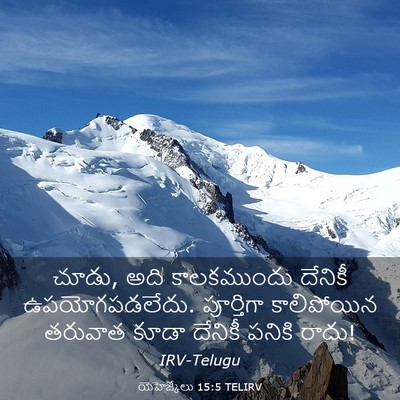 Picture 03 - యెహెజ్కేలు 15:5 TELIRV - చూడు, అది - Bible Verse Picture