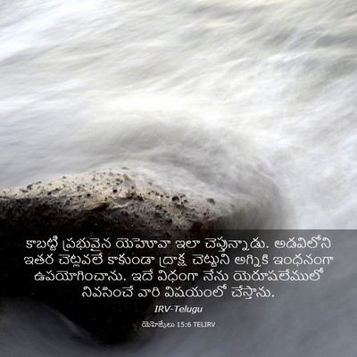 Picture 03 - యెహెజ్కేలు 15:6 TELIRV - కాబట్టి ప్రభువైన - Bible Verse Picture