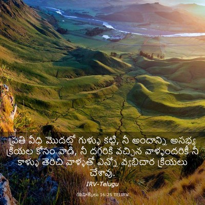 Picture 03 - యెహెజ్కేలు 16:25 TELIRV - ప్రతి వీధి - Bible Verse Picture