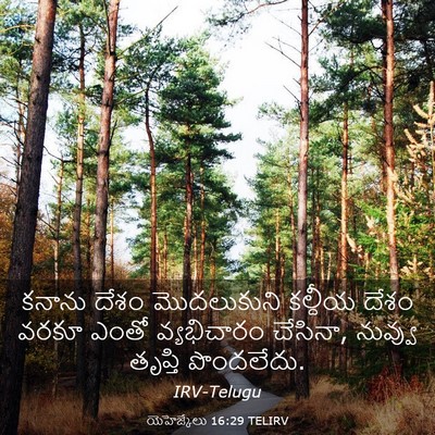 Picture 03 - యెహెజ్కేలు 16:29 TELIRV - కనాను దేశం - Bible Verse Picture