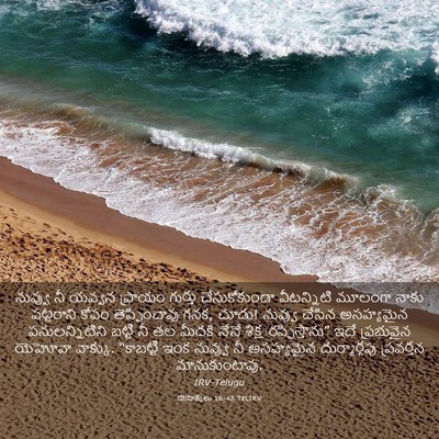 Picture 03 - యెహెజ్కేలు 16:43 TELIRV - నువ్వు నీ యవ్వన - Bible Verse Picture