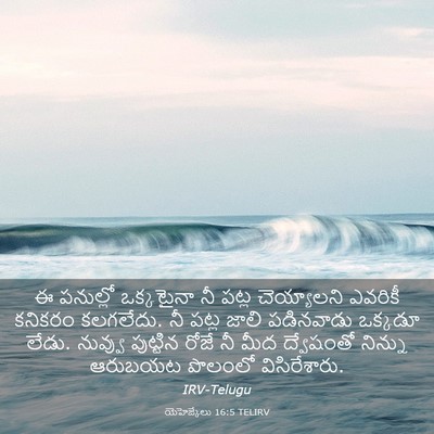 Picture 03 - యెహెజ్కేలు 16:5 TELIRV - ఈ పనుల్లో - Bible Verse Picture