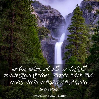 Picture 03 - యెహెజ్కేలు 16:50 TELIRV - వాళ్ళు అహంకారంతో - Bible Verse Picture