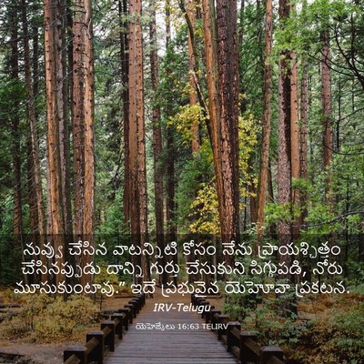 Picture 03 - యెహెజ్కేలు 16:63 TELIRV - నువ్వు చేసిన - Bible Verse Picture