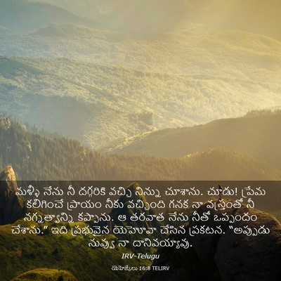 Picture 03 - యెహెజ్కేలు 16:8 TELIRV - మళ్ళీ నేను నీ - Bible Verse Picture
