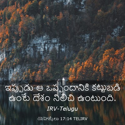 Picture 03 - యెహెజ్కేలు 17:14 TELIRV - ఇప్పుడు ఆ - Bible Verse Picture