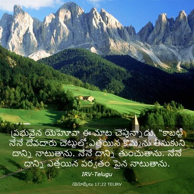 Picture 03 - యెహెజ్కేలు 17:22 TELIRV - ప్రభువైన యెహోవా ఈ - Bible Verse Picture