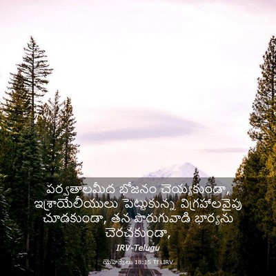 Picture 03 - యెహెజ్కేలు 18:15 TELIRV - పర్వతాలమీద భోజనం - Bible Verse Picture