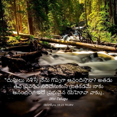 Picture 03 - యెహెజ్కేలు 18:23 TELIRV - “దుష్టులు నశిస్తే - Bible Verse Picture