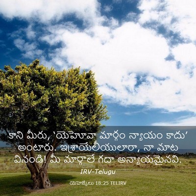 Picture 03 - యెహెజ్కేలు 18:25 TELIRV - కాని మీరు, ‘యెహోవా - Bible Verse Picture