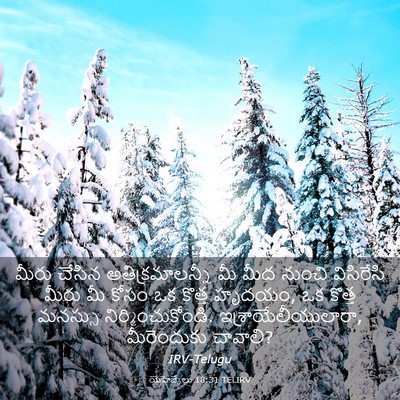 Picture 03 - యెహెజ్కేలు 18:31 TELIRV - మీరు చేసిన - Bible Verse Picture