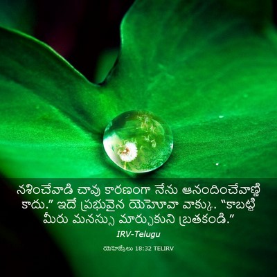 Picture 03 - యెహెజ్కేలు 18:32 TELIRV - నశించేవాడి చావు - Bible Verse Picture